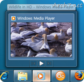 Windows Media Player 12 (in Taskbar)